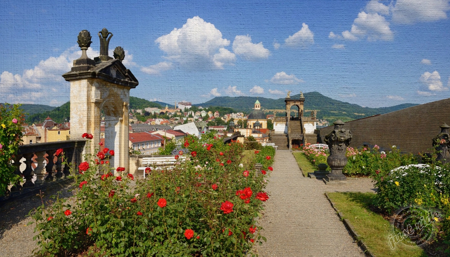 Růžová zahrada - zámek Děčín  - tip na výlet v Ústeckém kraji