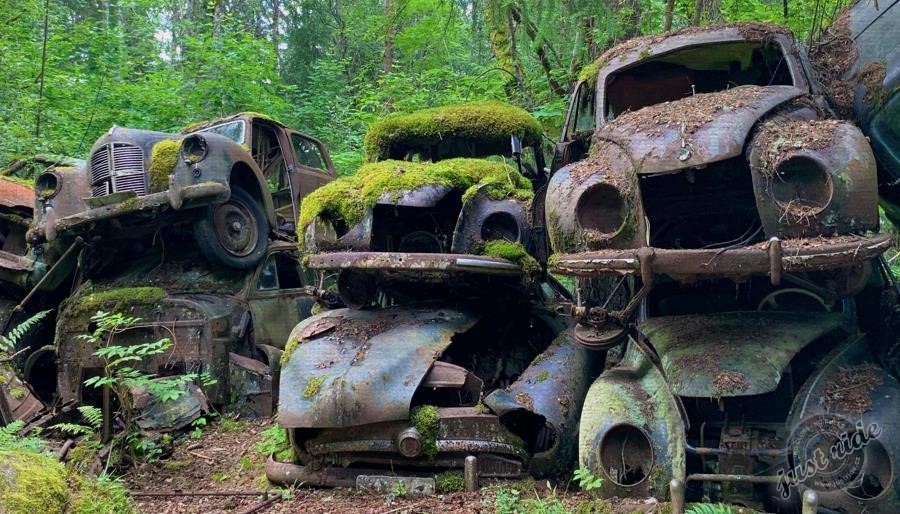 Båstnäs - hřbitov automobilů